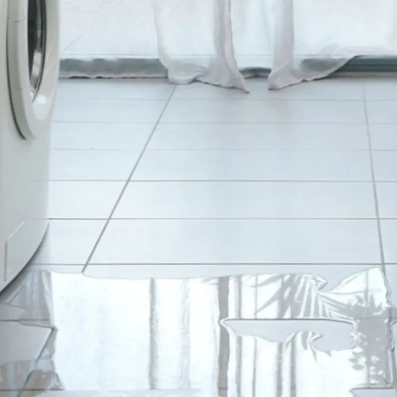 Appliance Leak Cleanup in Lake Jackson, TX