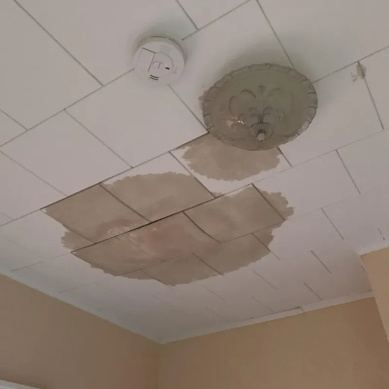 Ceiling Water Damage Repair in Lake Jackson, TX